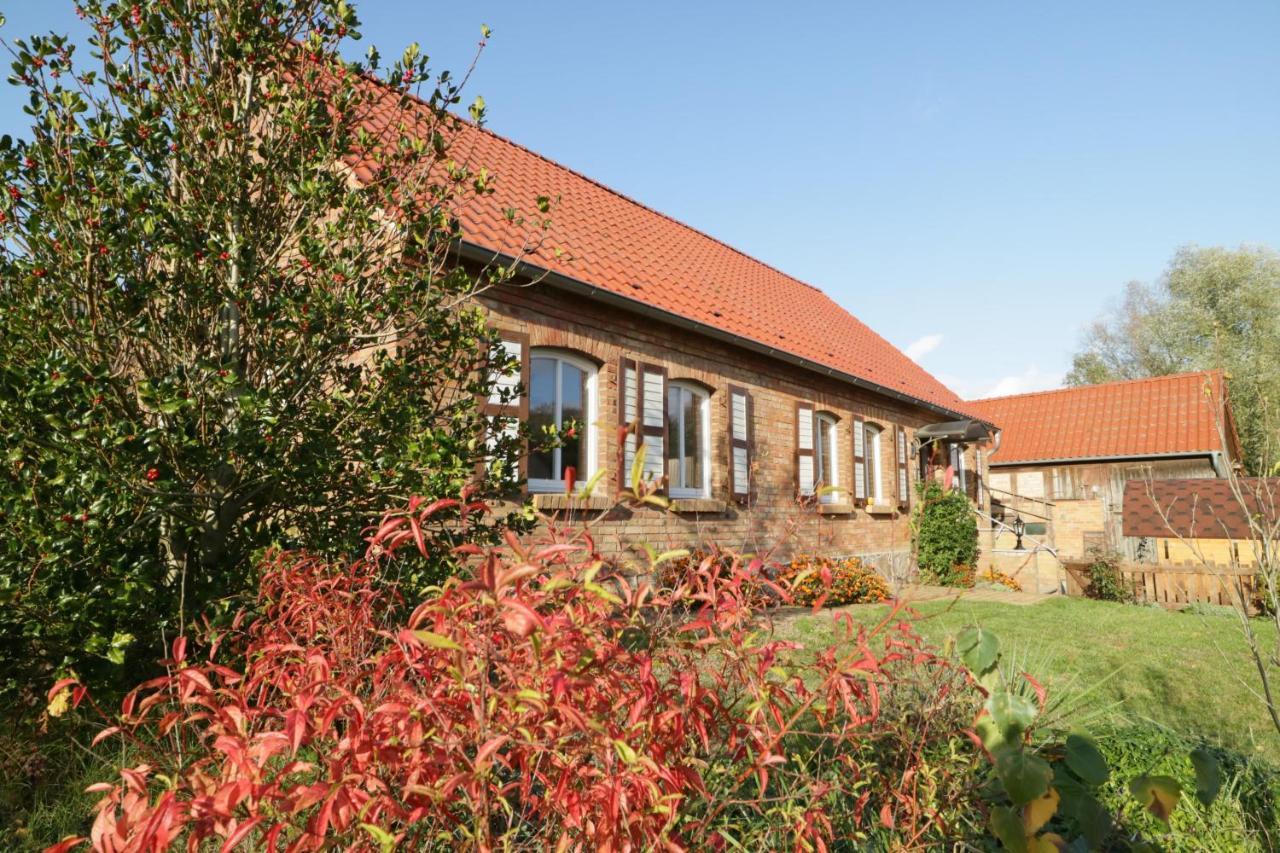 Ferienhaus Sommerfrische Buchholz (Mecklenburg-Vorpommern) Exterior foto